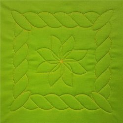 Continuous Rope and Echo Template 1.5D