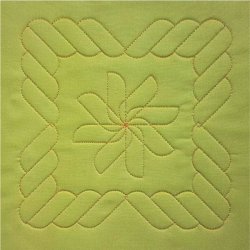 Continuous Rope and Echo Template 1.5D