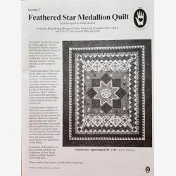 Feathered Star Medaillon Quilt