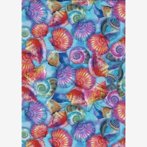 Muslinger og konkylier        