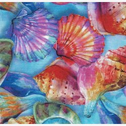 Muslinger og konkylier        