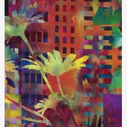 Urban Jungle - City/multi