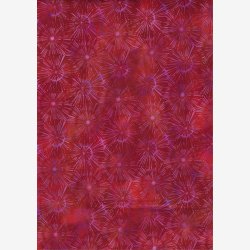 Urban Jungle - Burst/red