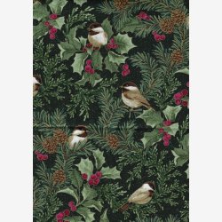 Cardinal Elegance Black