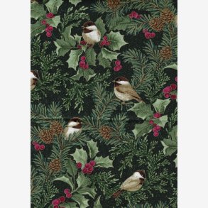 Cardinal Elegance Black