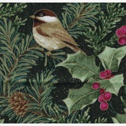 Cardinal Elegance Black