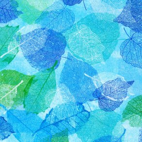 Leaflet - Leaves Sky