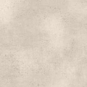 Gesso -  Oyster