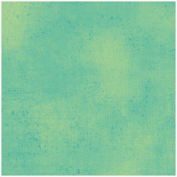 Gesso -  Parakeet