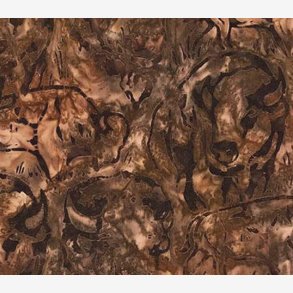 Bisonokser p brun baggrund